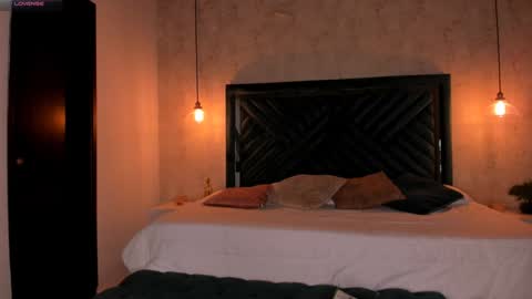 Snapshot of anne_mallow chatting on 02.02.25 Ann online show from 02.02.25