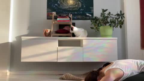 N  antics online show from 09.18.25