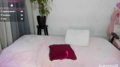 SOFIA INDEPENDENT MODEL online show from 02.18.25