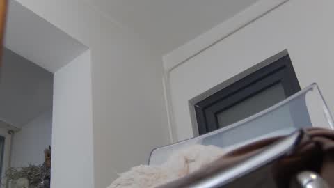 Anna online show from 12.02.24