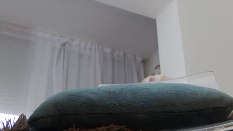 Anna online show from 01.20.25