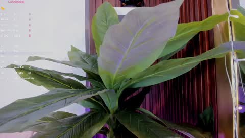 Snapshot of annybuny chatting on 01.20.25 Ana online show from 01.20.25