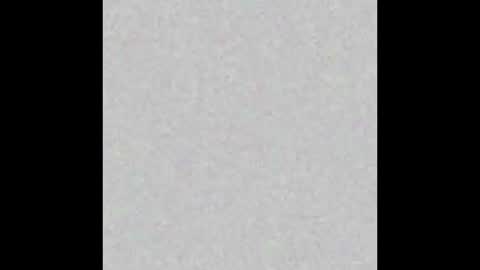 Antonella14Dominic online show from 02.11.26