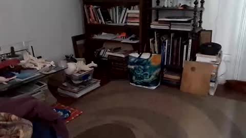 Snapshot of antonino85 chatting on 12.24.24 antonino85 online show from 12.24.24
