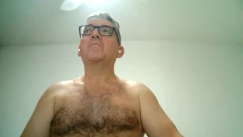 Snapshot of apixaba chatting on 02.21.25 furry bear online show from 02.21.25