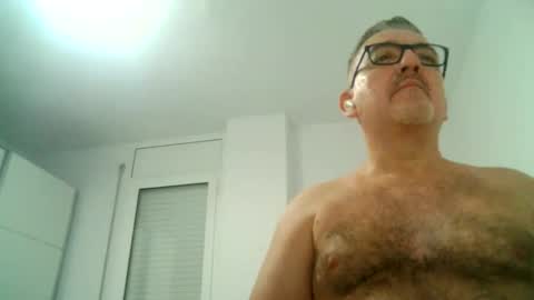 Snapshot of apixaba chatting on 09.16.25 furry bear online show from 09.16.25