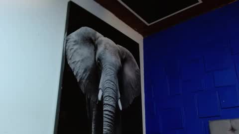 Apolo online show from 02.11.25