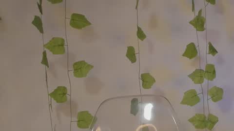 Snapshot of aprillebony chatting on 01.17.25 APRIL online show from 01.17.25