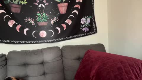 Snapshot of aria_fields_ chatting on 12.04.24 Aria Fields online show from 12.04.24