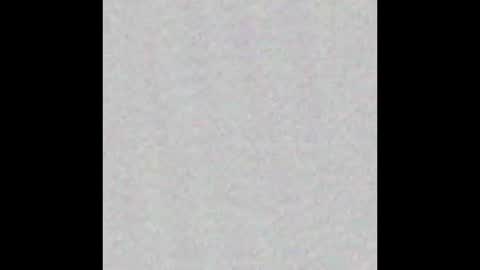 Arianna Collins online show from 10.04.25