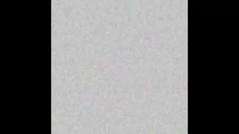 Arianna Collins online show from 10.14.25