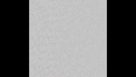 Arianna Collins online show from 10.22.25