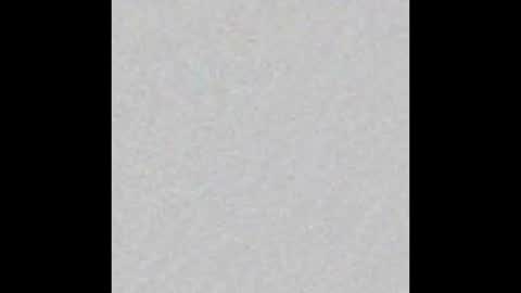 Arianna Collins online show from 12.19.25