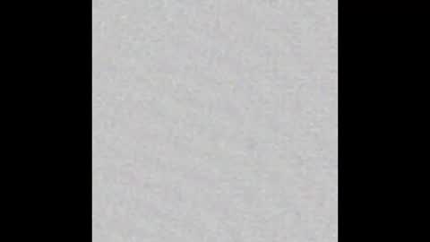 Arianna Collins online show from 02.02.26