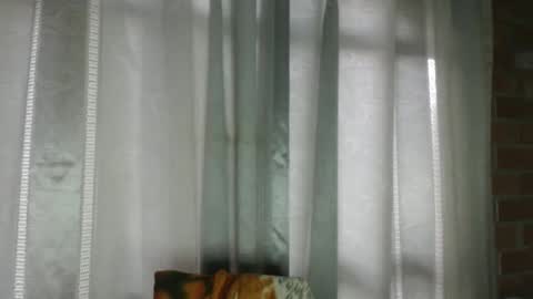 ARMANDO online show from 01.16.26