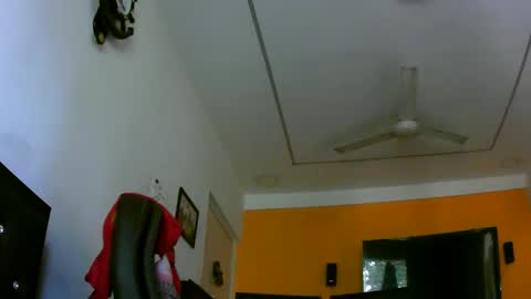 arnold_forfun online show from 04.10.26