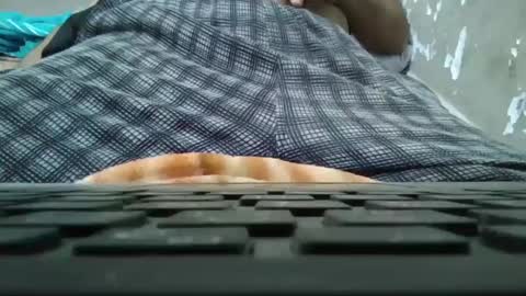 art_max99xxx online show from 01.11.25