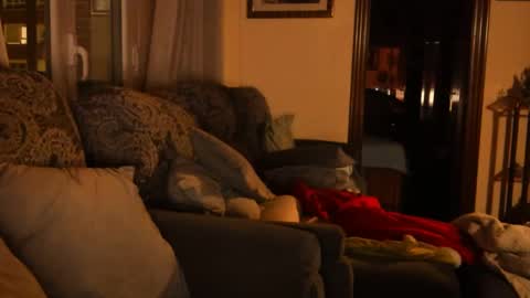 Troy online show from 01.15.25