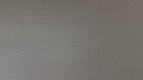 ash123400000 online show from 02.12.26