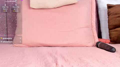 Snapshot of ashlie_robertss chatting on 01.23.25 Ashlie online show from 01.23.25