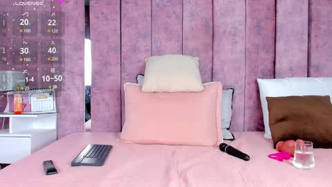 Snapshot of ashlie_robertss chatting on 01.29.25 Ashlie online show from 01.29.25