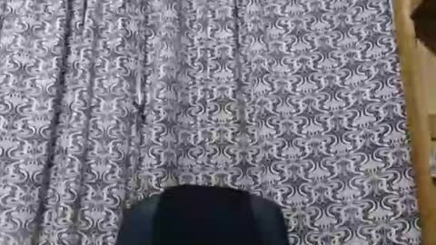 aslanne online show from 05.30.26