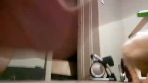 Snapshot of assholeslut9000 chatting on 01.18.25 Tell me spread and Ill spread online show from 01.18.25