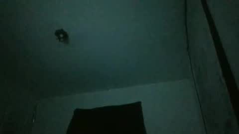 Snapshot of assilem277 chatting on 02.23.25 danni travis online show from 02.23.25