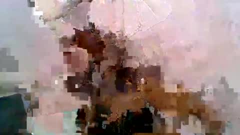 aurelia107 online show from 05.31.26