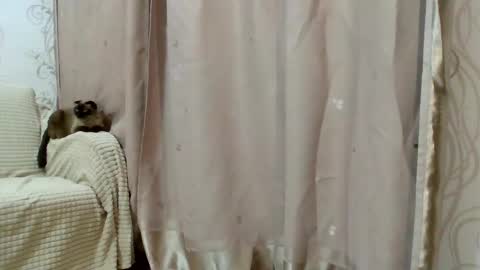 Snapshot of aurora_breeze chatting on 02.25.26 Kiara Xanthe online show from 02.25.26