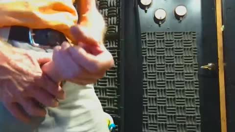 aussieraz online show from 11.04.25