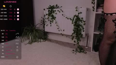 aviaveavi online show from 04.05.26