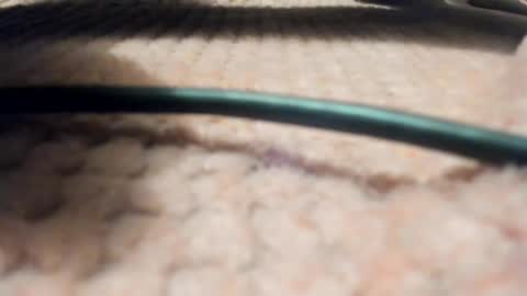 Axell online show from 03.28.26