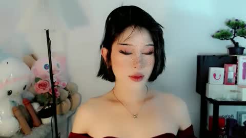 Snapshot of ayahoshilovesyou chatting on 01.17.26 AYAHOSHILOVESYOU online show from 01.17.26