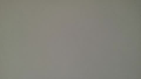 Snapshot of ayshekisskitty chatting on 01.25.25 ViktoranMary online show from 01.25.25