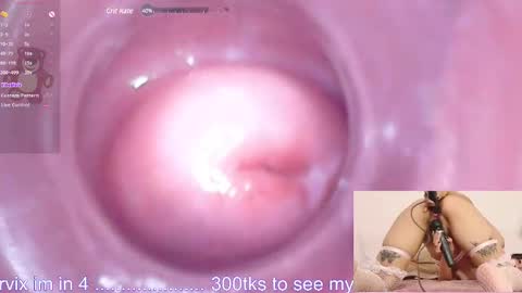 Snapshot of ayumi_tanaka chatting on 12.19.24 online show from 12.19.24