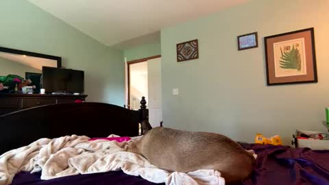 blue online show from 04.04.26