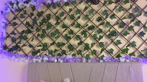 Snapshot of baby_xian chatting on 12.19.24 Dani online show from 12.19.24