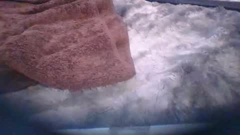 bacchusexx15 online show from 03.30.26