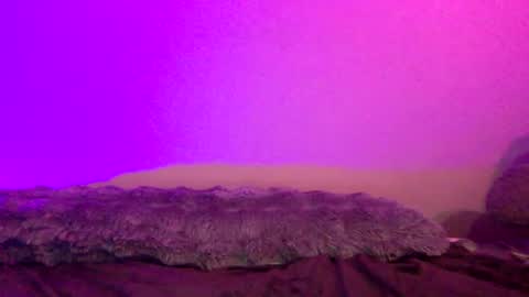 Snapshot of baddiejess618433 chatting on 12.14.24 baddiejess618433 online show from 12.14.24