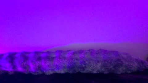 Snapshot of baddiejess618433 chatting on 12.18.24 baddiejess618433 online show from 12.18.24