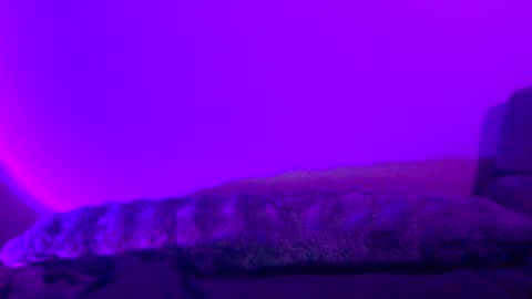 Snapshot of baddiejess618433 chatting on 12.30.24 baddiejess618433 online show from 12.30.24