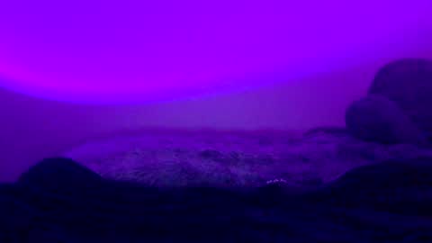 Snapshot of baddiejess618433 chatting on 01.05.25 baddiejess618433 online show from 01.05.25