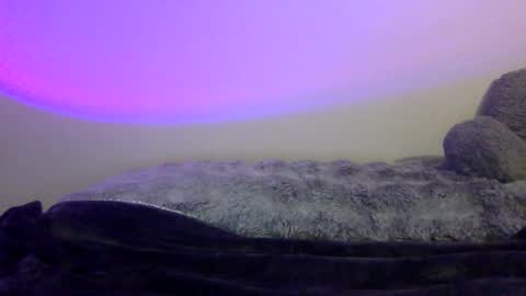 Snapshot of baddiejess618433 chatting on 01.05.25 baddiejess618433 online show from 01.05.25