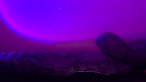 Snapshot of baddiejess618433 chatting on 01.11.25 baddiejess618433 online show from 01.11.25