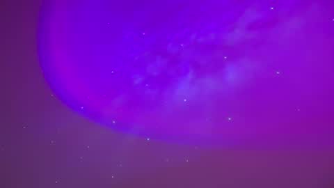 Snapshot of baddiejess618433 chatting on 02.23.25 baddiejess618433 online show from 02.23.25