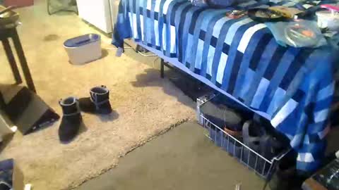 StillPoPimpin online show from 12.27.24