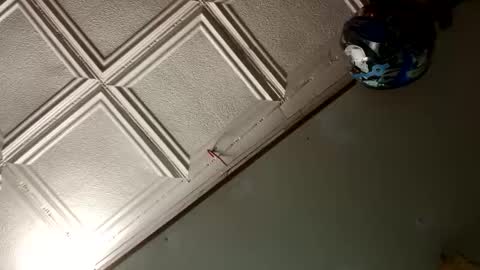 StillPoPimpin online show from 01.18.25