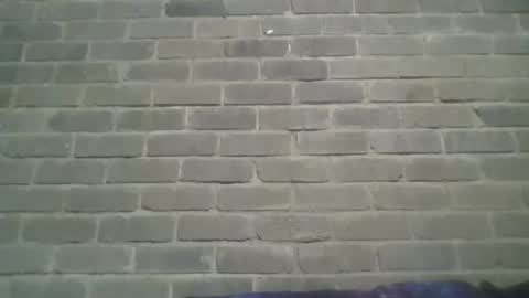 Chaterlain online show from 01.05.25