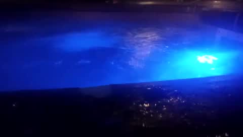 bakerbeachismygig online show from 12.09.24